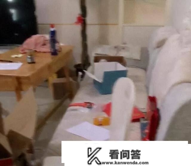 李湘出镜幕后，三亚租房不清理垃圾，遭房东拍视频吐槽