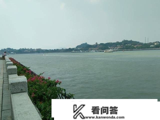 福建厦门：治愈属性的豆豆，带你看“海上花园”鼓浪屿