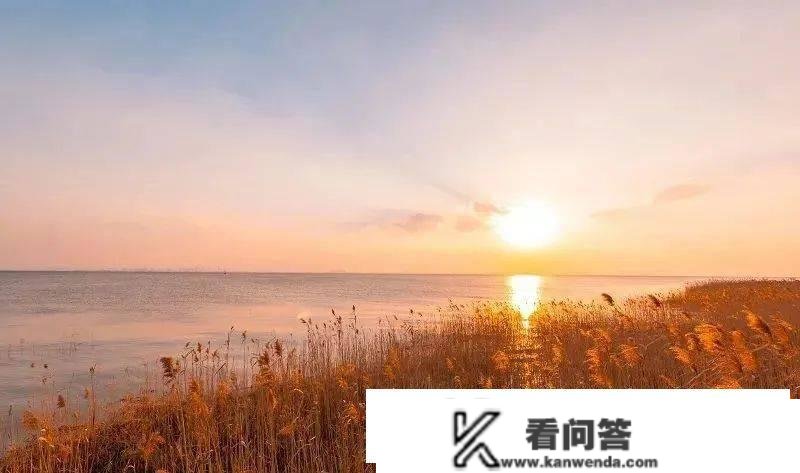 宝山抢崇明瀛东度假村2299元联排别墅单晚度假套餐，看日出美景，远离都会喧哗！