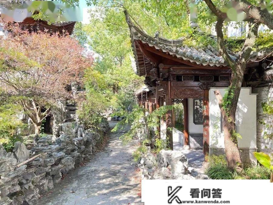 上海奥秘富豪囤地11亩自建的花园洋房被拍卖了