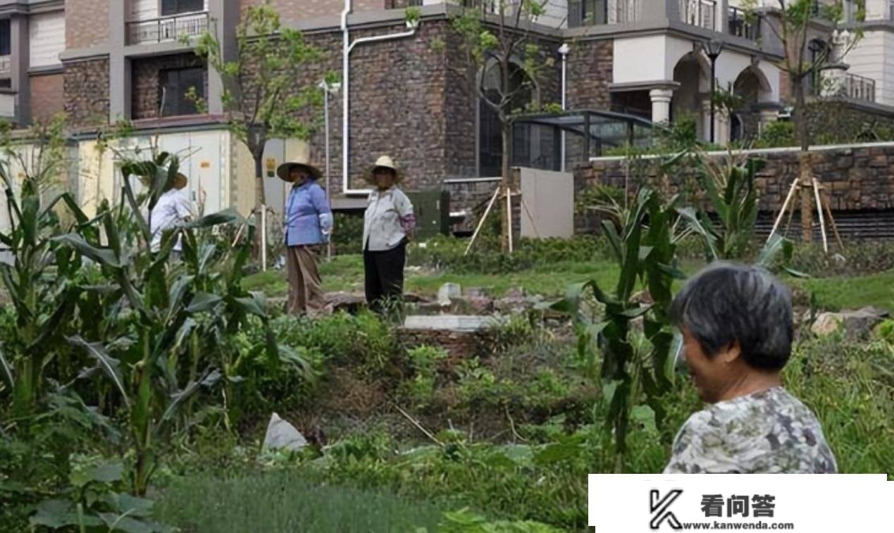 回绝一万万补偿的江苏钉子户，因贪心无言，现在已成“花园洋房”