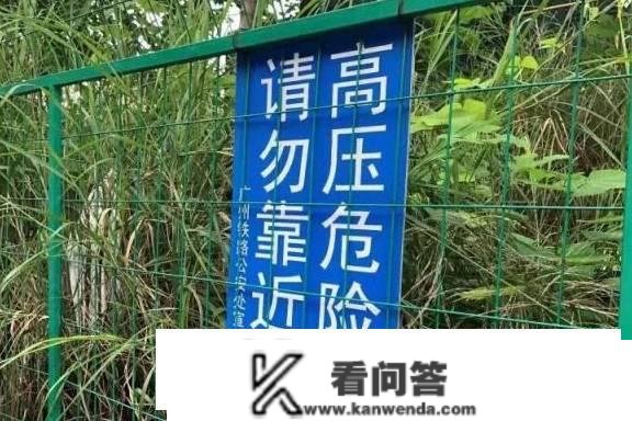 高铁隧道上拆不掉的违建：面积5万平方米，违建板房被层层转租