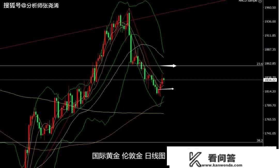 张尧浠：美升息力度助力提拔、金价短期或陷震荡盘整