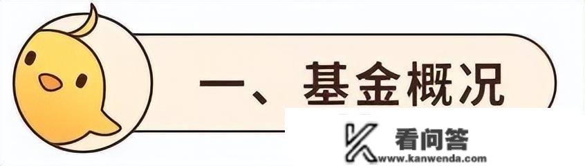 华商新趋向优选合适定投吗？业绩口碑双丰收，周海栋代表做值得买吗？