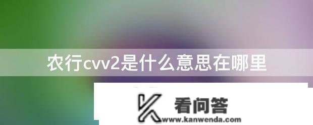 农行cvv2是什么意思在哪里