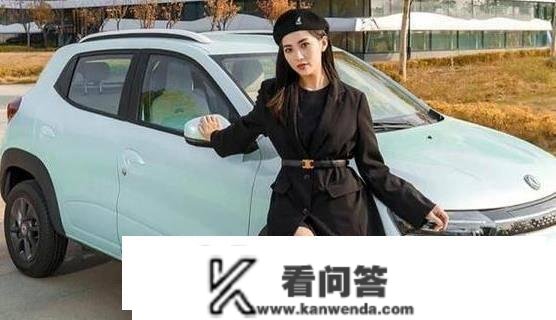 又一价格屠夫来袭！全球更便宜纯电SUV，续航351公里，仅售5万多