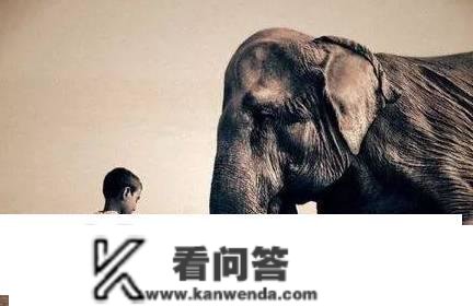 仁慈是什么？什么是仁慈？