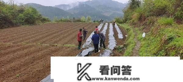 工行绥阳收行：金融“春风”润泽春耕大地