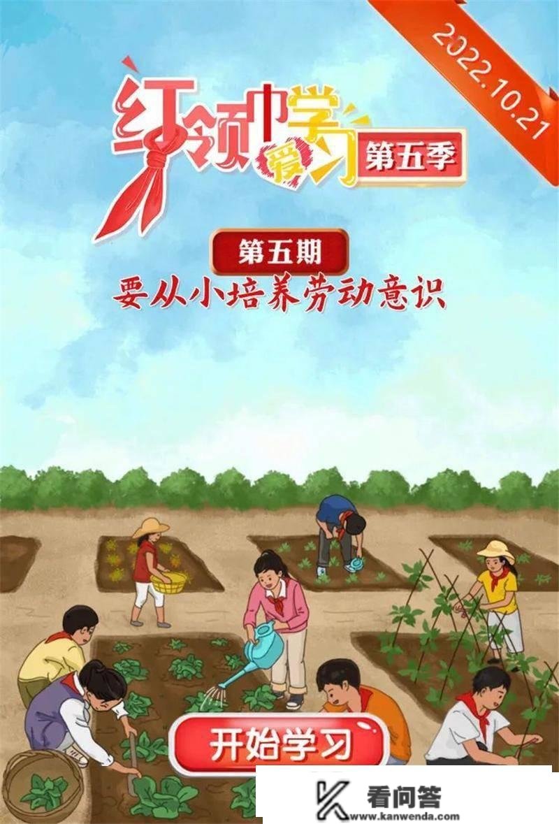 灞桥区宇航小学：红领巾爱进修 劳动最名誉