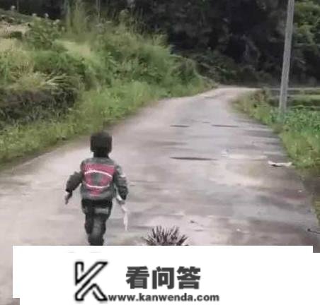 抖音“最牛小孩”红了，被欺负后带着“神兽”去报仇，好狠