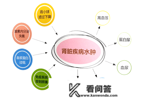 肾脏疾病水肿的原因有哪些，有哪些特点？