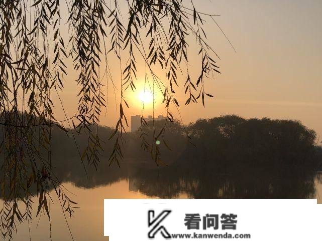 明年是虎年，老话说：“壬寅虎下山，荒郊人不见”，是啥意思