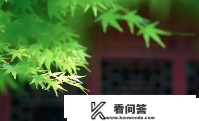 夏季蚊虫叮咬图鉴：看图比照，就能晓得本身是被啥咬了