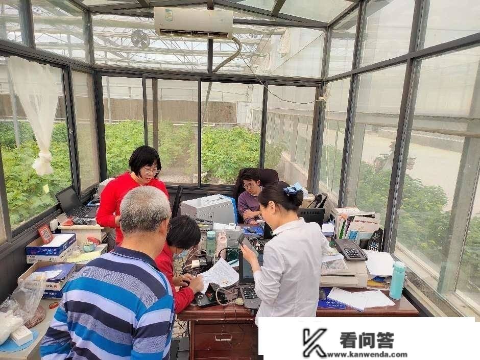 青州农商银行：金融“连电”擦出丰收火花