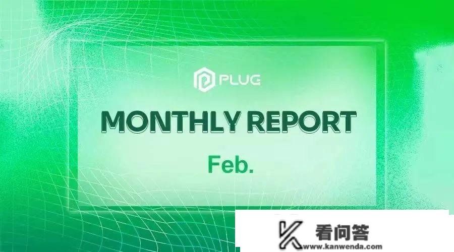 社区动态 | PlugChain 2月月报(02/01-02/28)