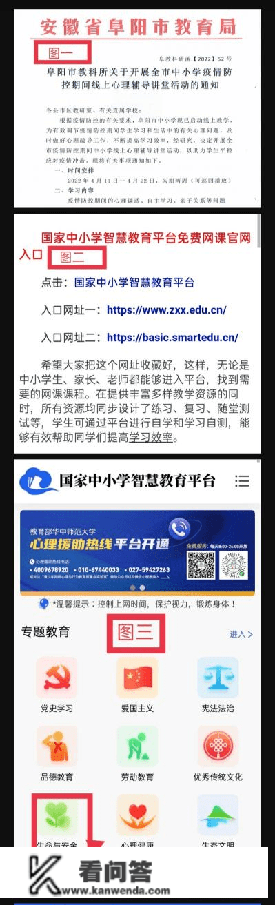 云端聚力促教学 共克时艰育桃李-城南小学线上教学活动纪实