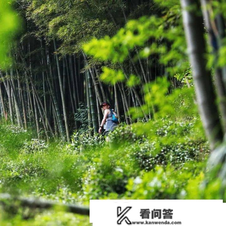 2023 TNF100 莫干山 报名开启！