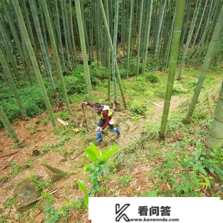 2023 TNF100 莫干山 报名开启！