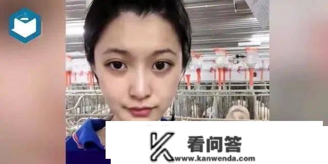 24岁女生大学结业养猪？年薪10万，很有意思！