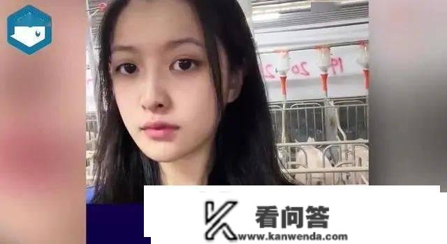 24岁女生大学结业养猪？年薪10万，很有意思！