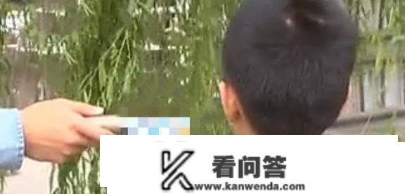 10岁男孩玩妈妈手机，打赏主播花光20000多元，男孩：满身冷飕飕