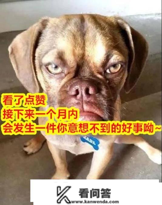 “哥狂砸100万，末于碰到网红了！”值得那个价吗？哈哈哈