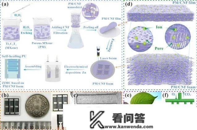 安徽大学岳阳副传授合做在MXene基微型器件范畴获得系列停顿