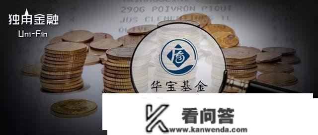 华宝基金旗下有基金业绩跌50%，新人替代宿将能扛起重任吗？