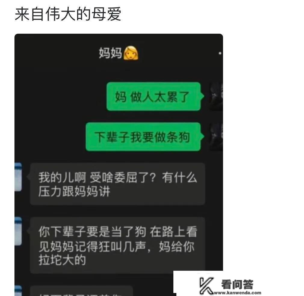 爆笑评论：为什么叫肠粉？