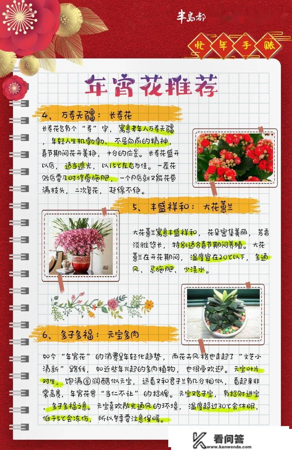 忙年手掌丨买鲜花，过大年！青岛年宵花去哪儿买，如何选购，若何保鲜→