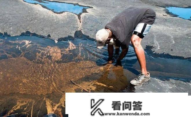 世界上更大的沥青湖，储量至少可开采200年，中国是其更大买家