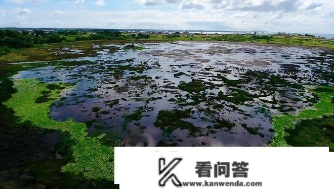 世界上更大的沥青湖，储量至少可开采200年，中国是其更大买家