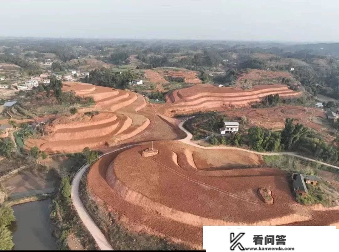 工商银行四川省分行立异实现首笔酿酒公用粮基地建立项目贷款投放