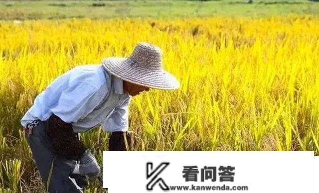 农人退休金一律按年龄发放，60岁以上每人每月1300元，可行吗？