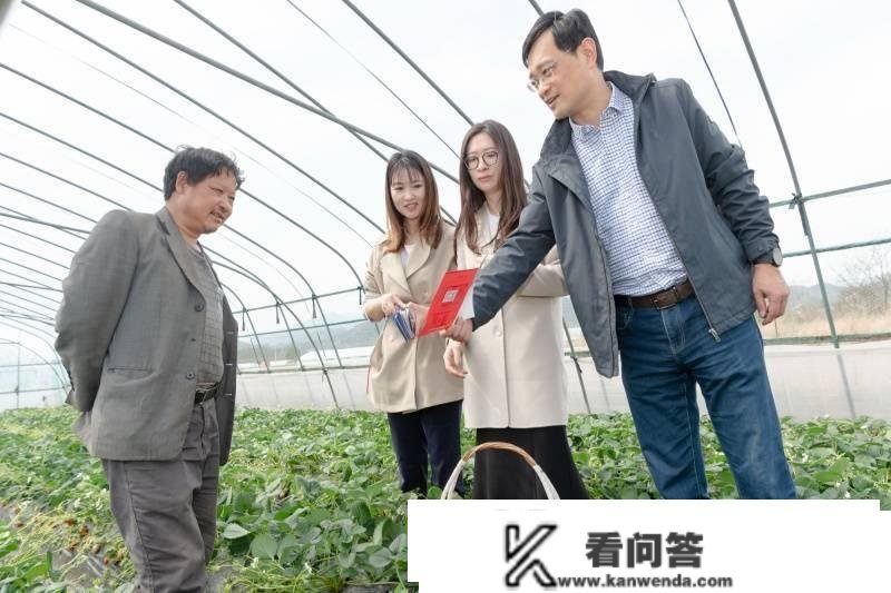 【数字村落“甬”抱美妙生活】 工行宁波分行：立异数字化场景应用 打造数字普惠新形象