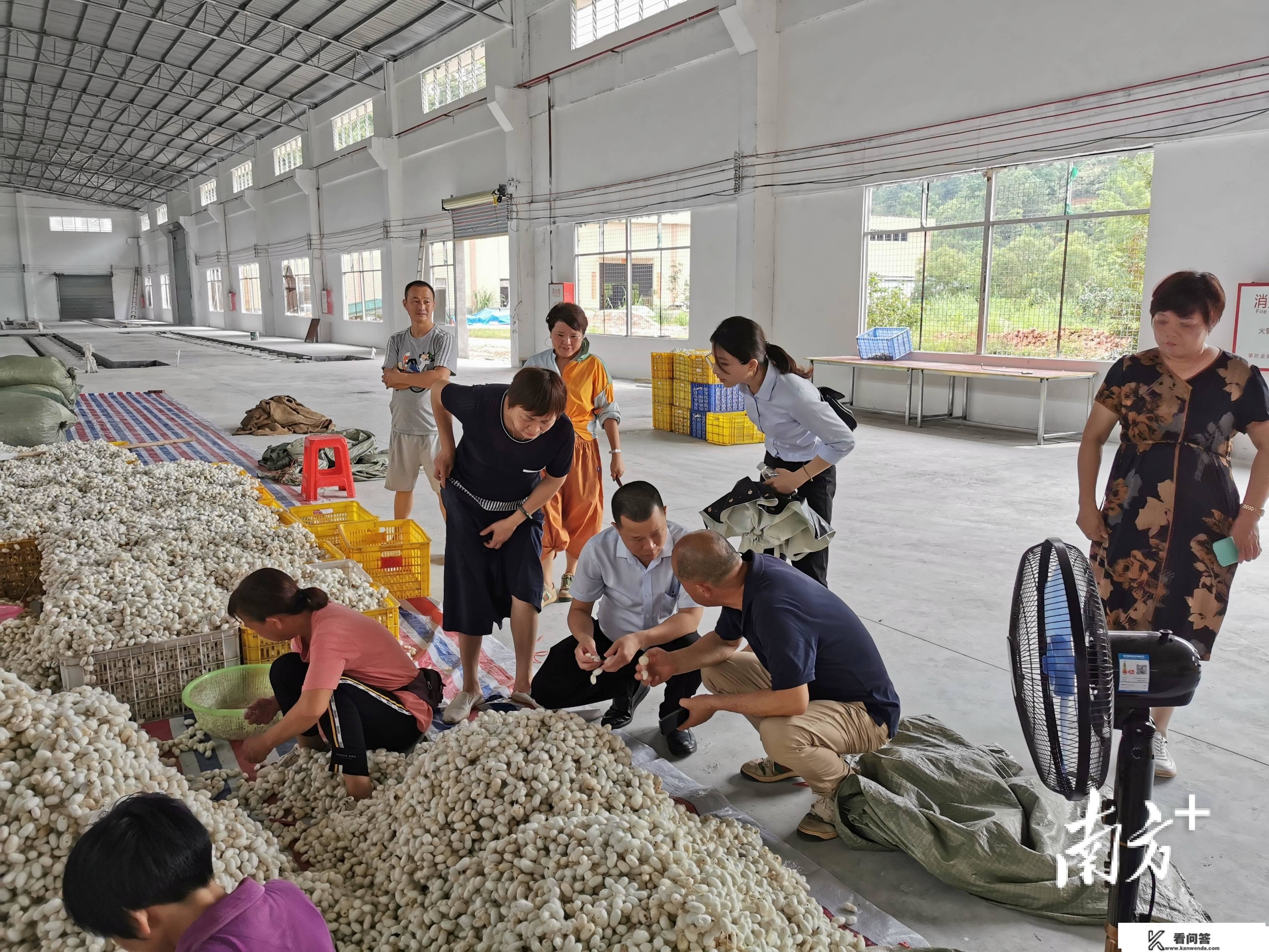 中行云浮分行：多元金融办事，助力乐享生活圆梦云浮 丨新市民金融办事⑤