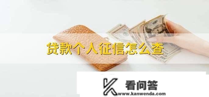 2023年打点贷款征信怎么查