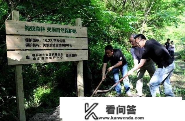 蚂蚁丛林：马云许诺在戈壁“种树”，现在6年过去了，树如何了？