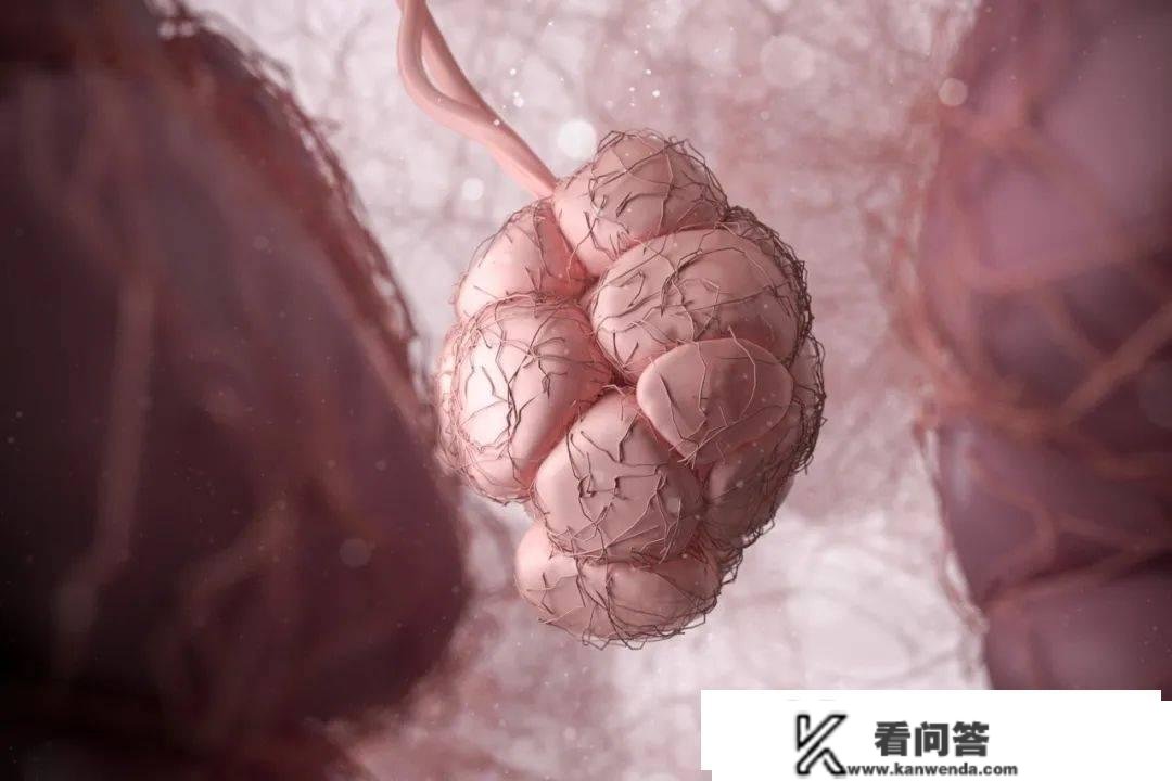 饿死癌细胞？想多了，癌细胞比一般细胞更抗饿