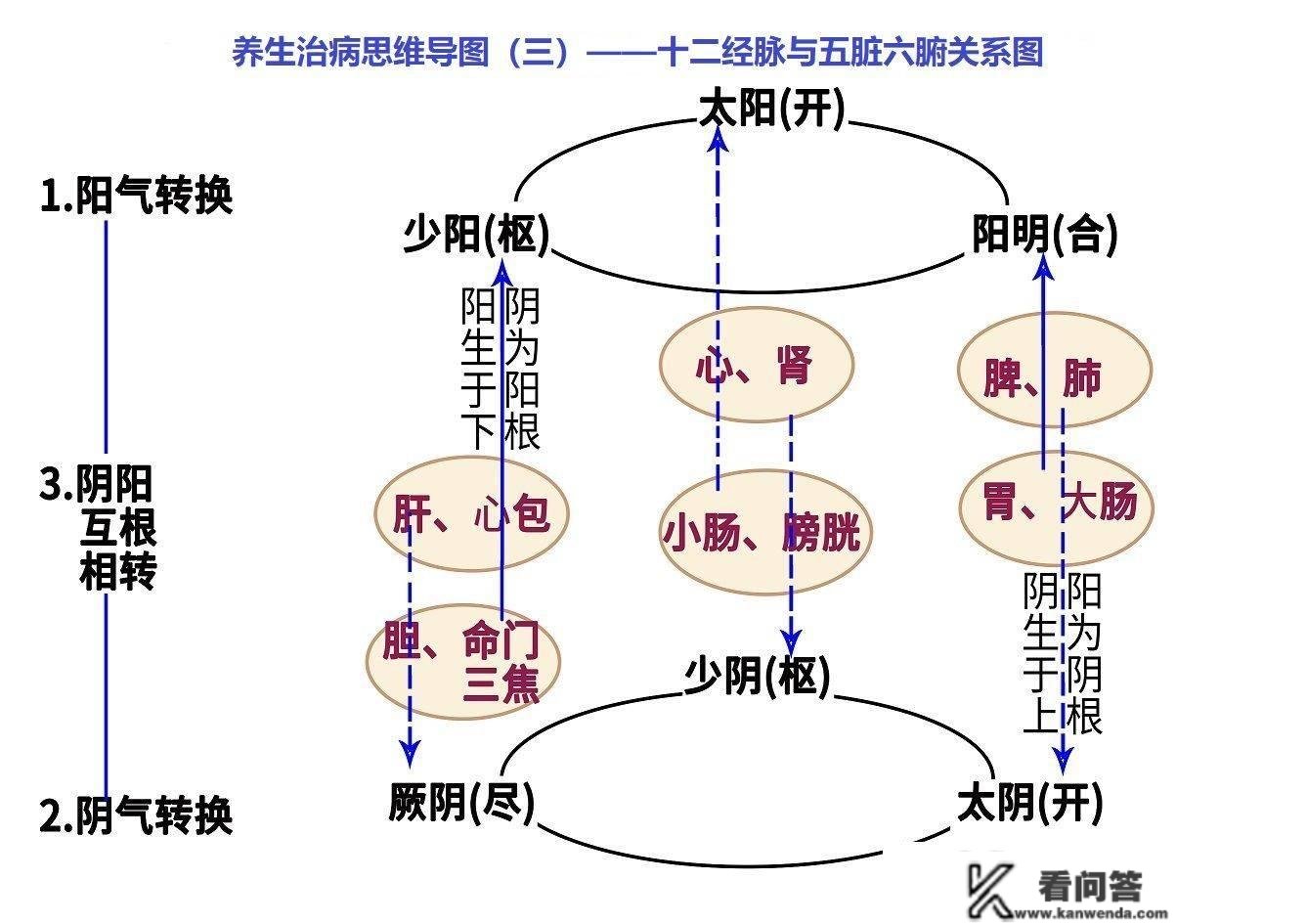 人体内能量演化过程