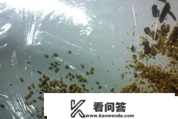 肾结石卡在输尿管怎么办？用那办法排出不积水