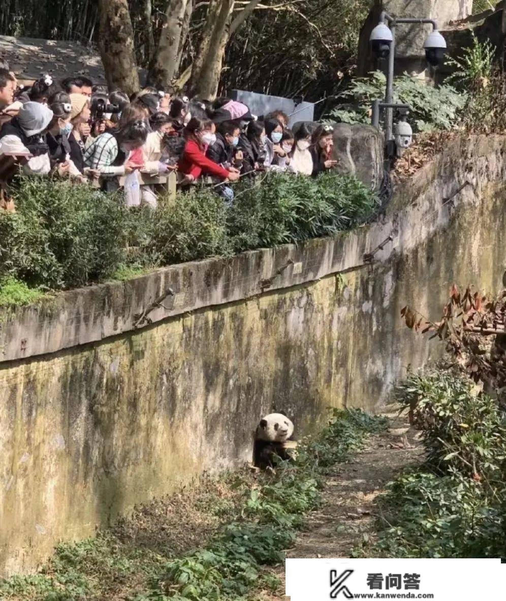 川籍“女明星”的颜值有多高，看她就晓得了