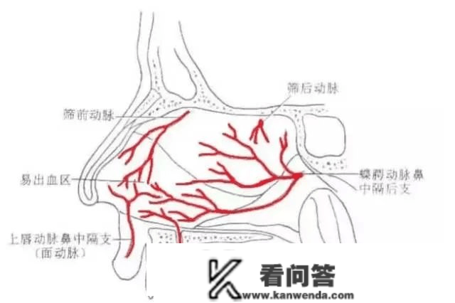 “医生，我鼻子出血啦”