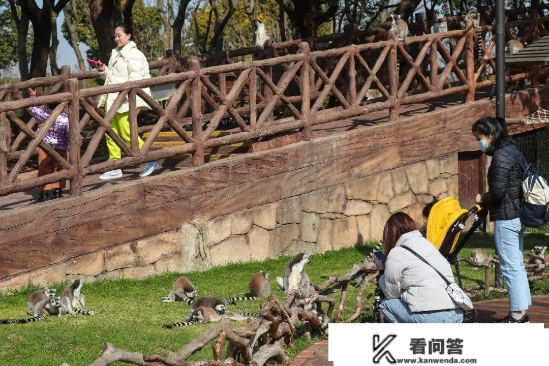 年卡、季卡更低0元起！还有欢乐春游卡上线啦~