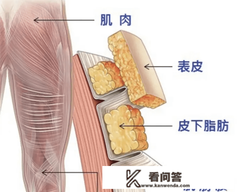 筋膜枪有危害吗？防备三大风险危害！