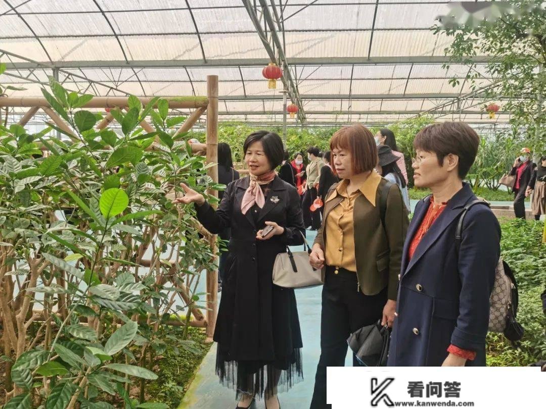 遂溪县妇联举办2023年遂溪县施行广东省妇女创业小额担保贷款贴息项目培训班