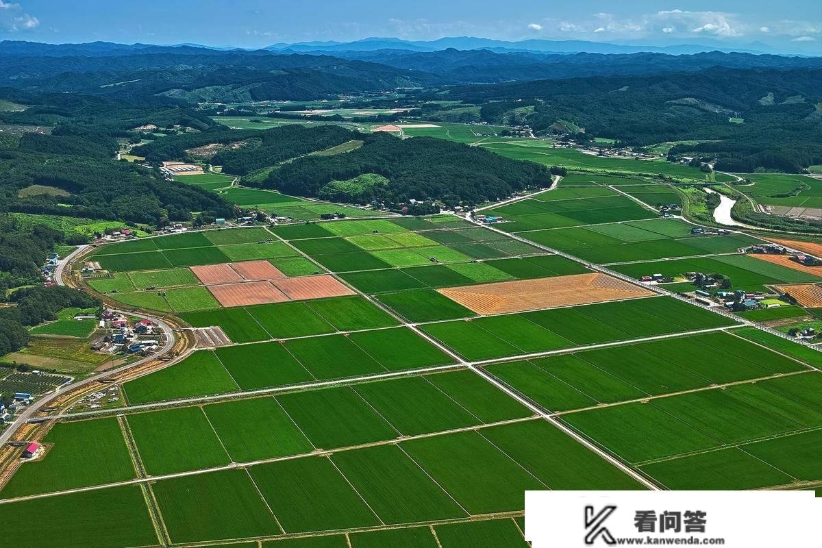 施田补除草剂利用范畴介绍；除草剂利用留意事项