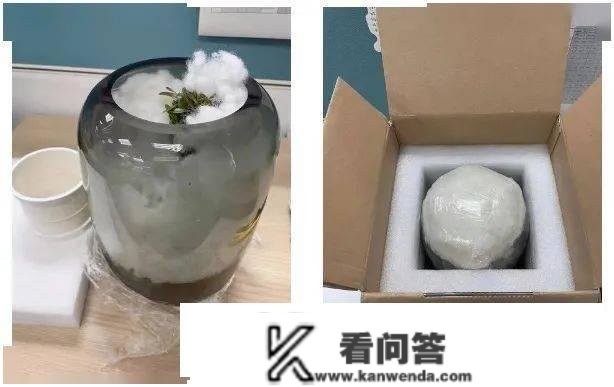 我问 ChatGPT，女神节应该送她什么礼品？