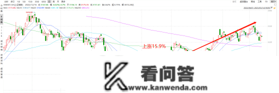 投资感悟：风波越大，鱼越贵