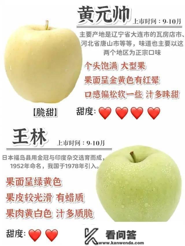 常见苹果的品种怎么区别